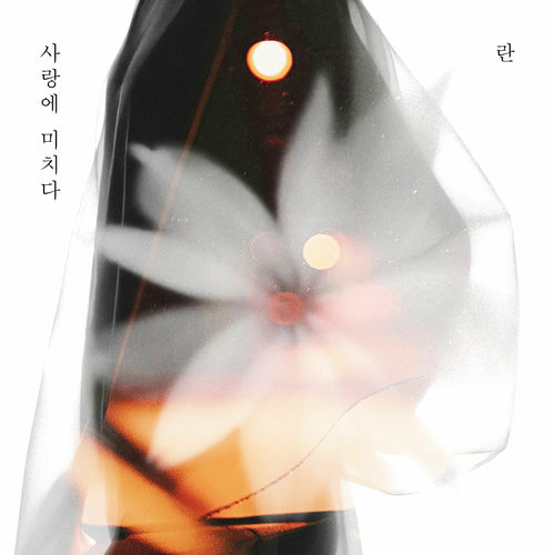 RAN – Crazy For Love – Single