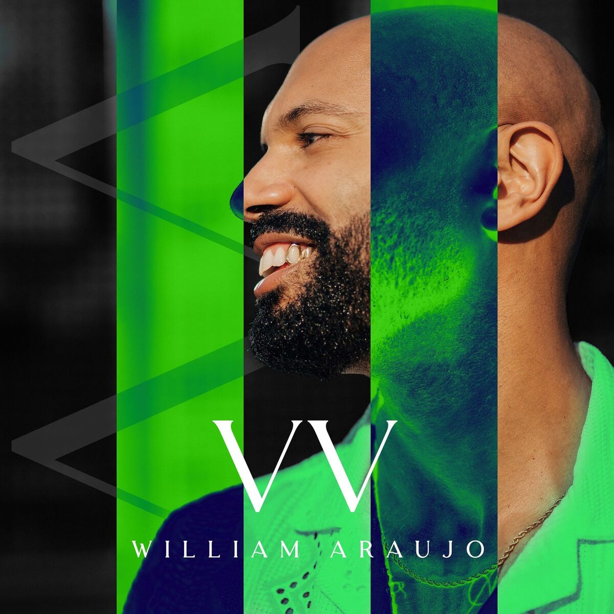 Album cover of VV