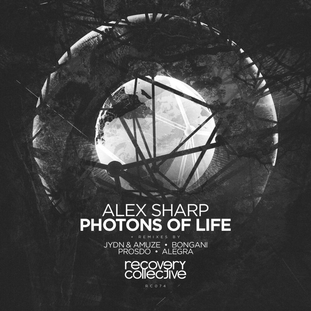 Picture of Photons Of Life