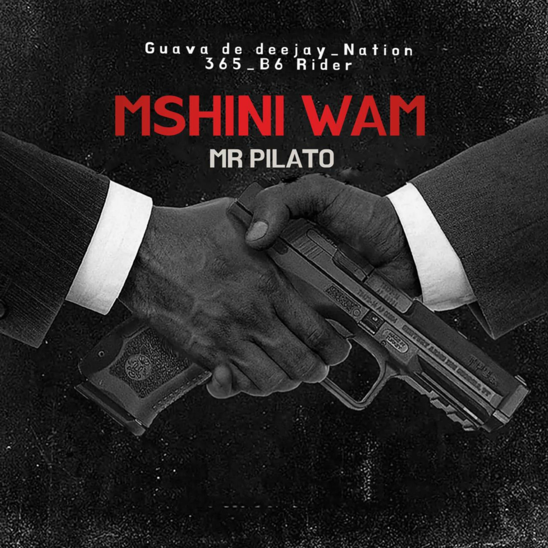 Album cover of Mshini Wam