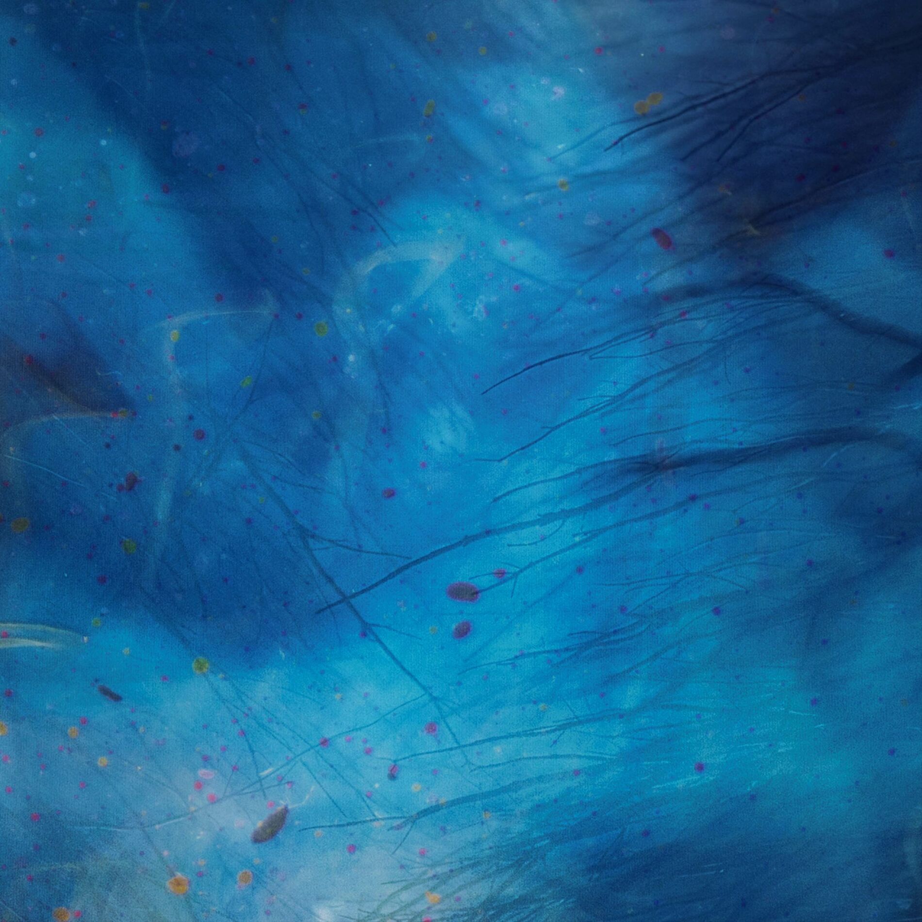 Album cover of som