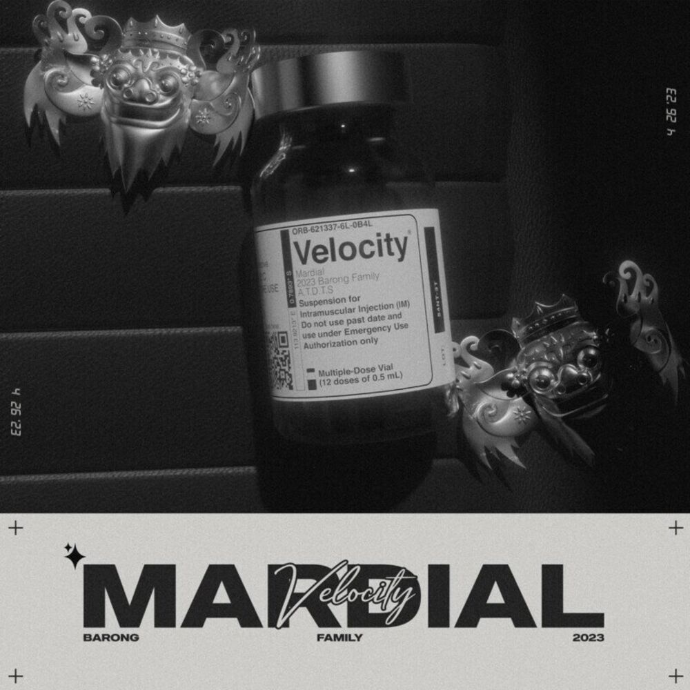Picture of Velocity