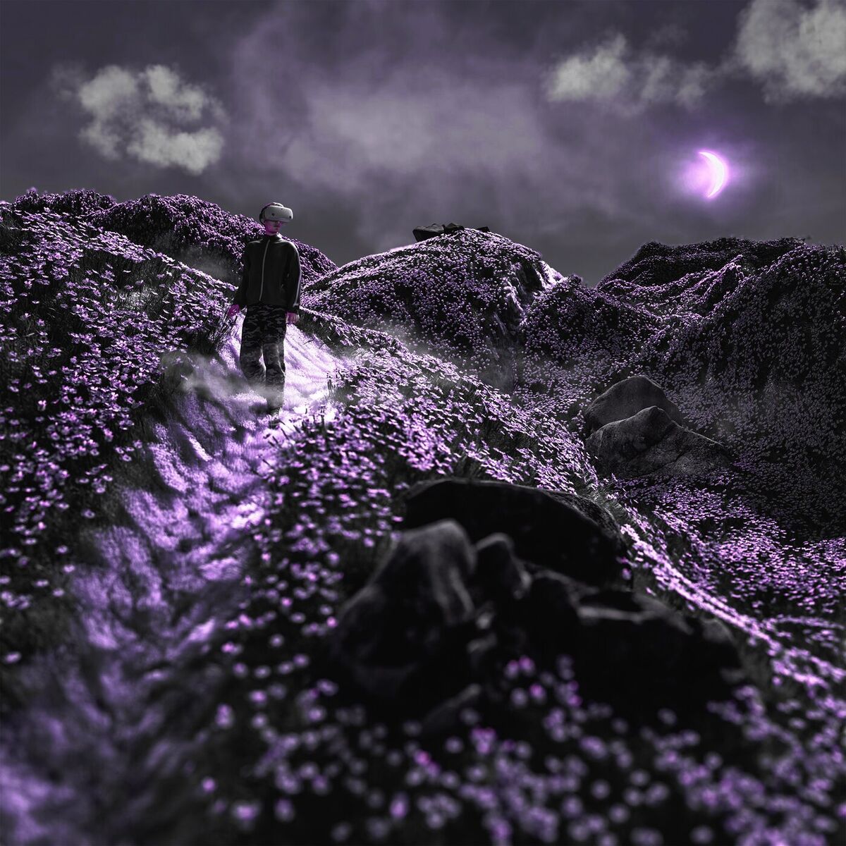 Album cover of reality