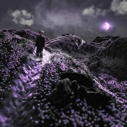 Cover of reality