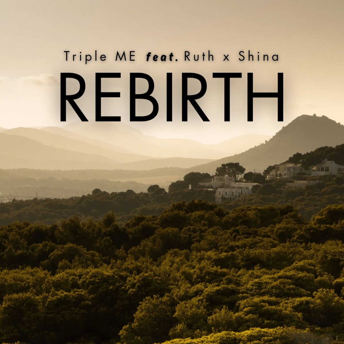 Album cover of Rebirth