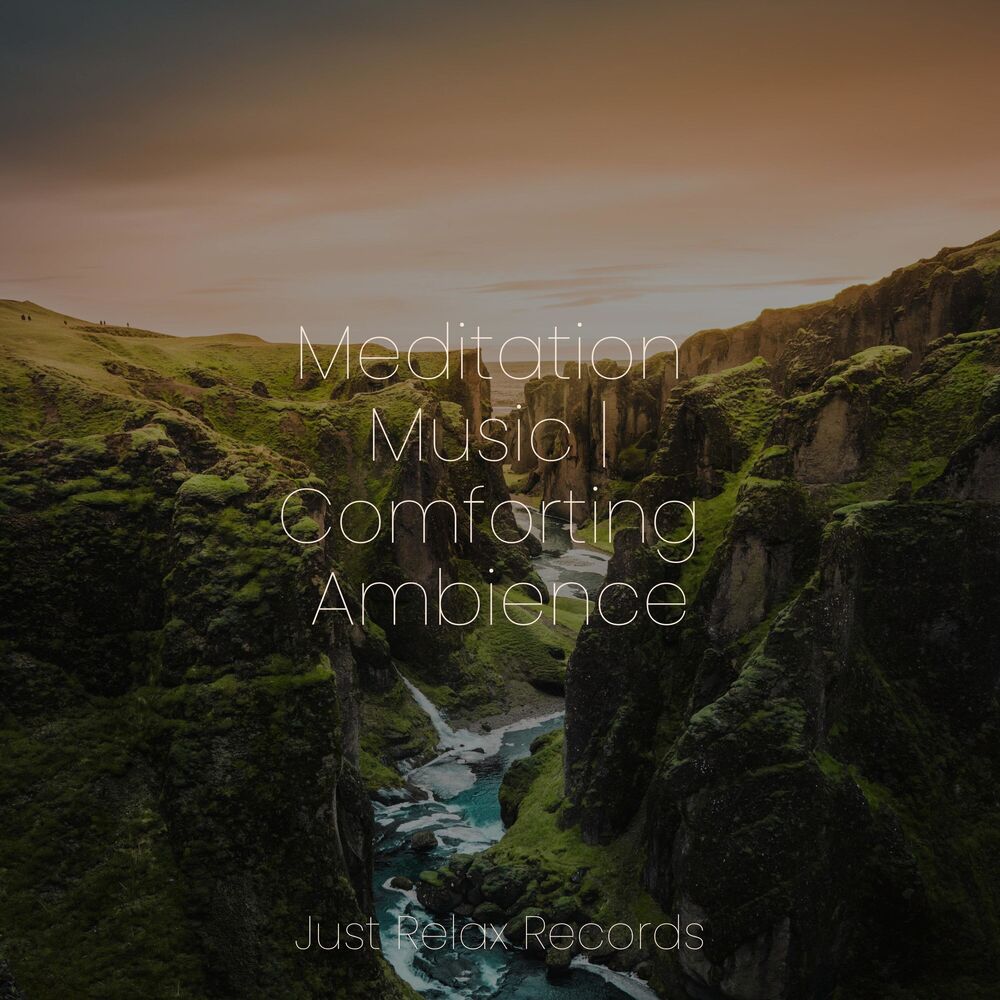Picture of Meditation Music | Comforting Ambience