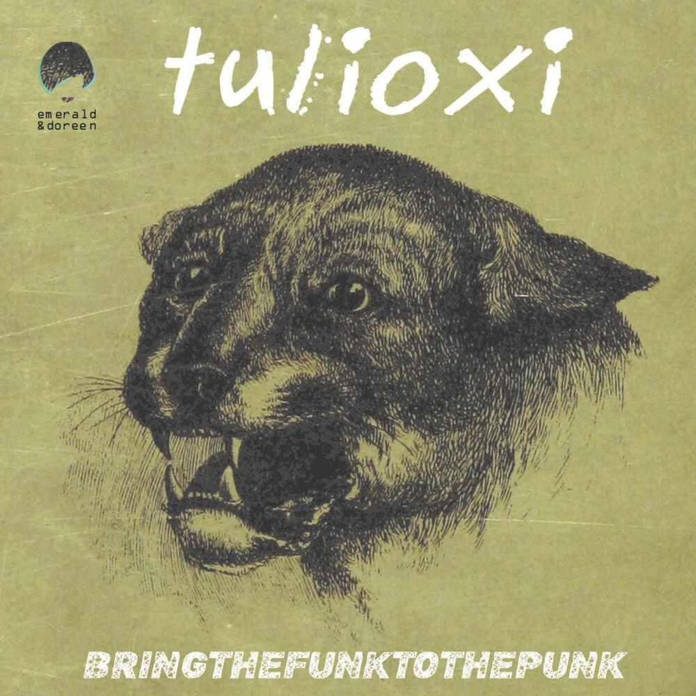 Picture of Bring the Funk to the Punk
