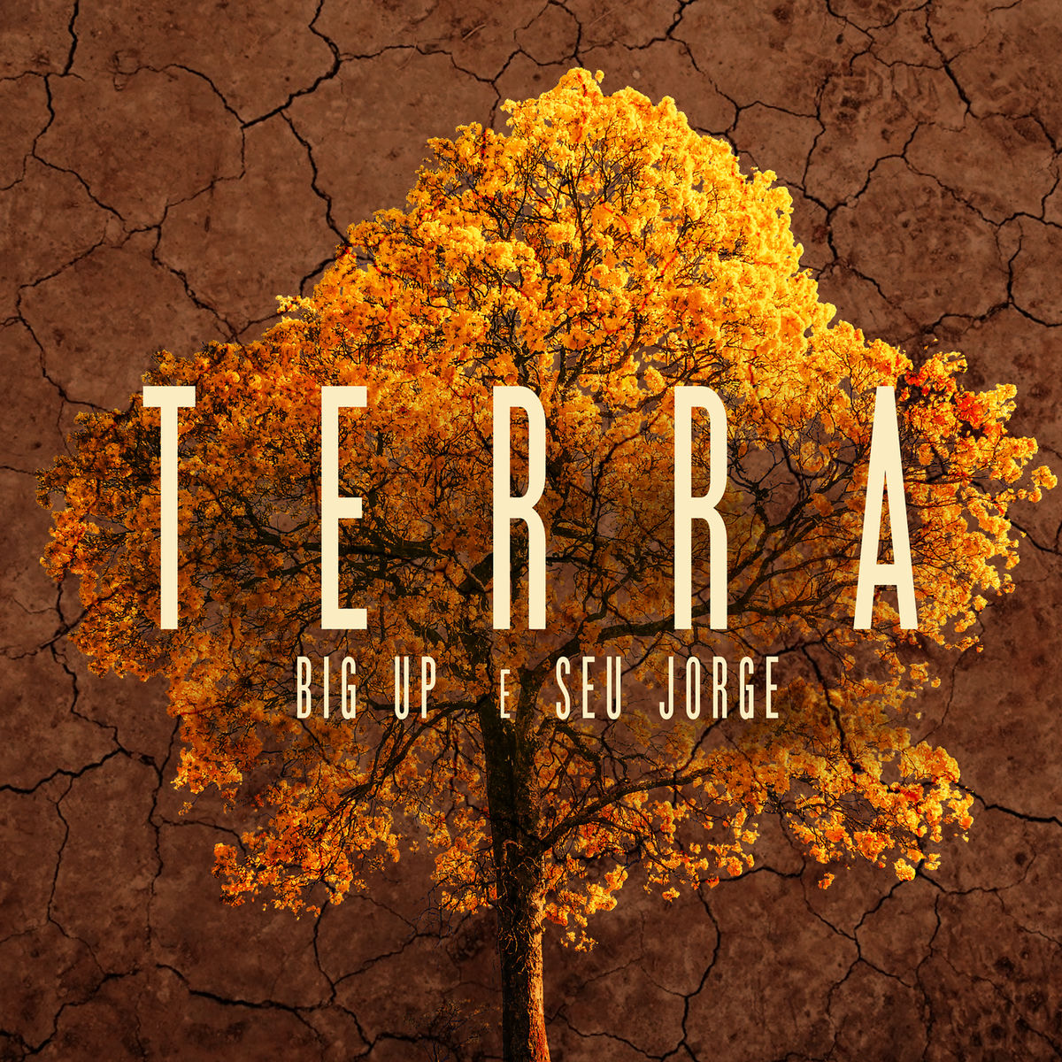 Terra cover