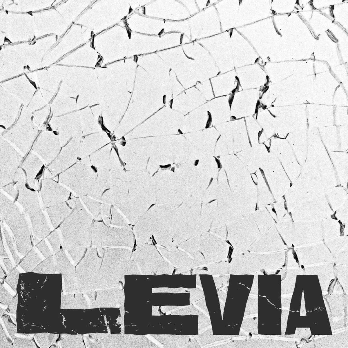 Album cover of Levia