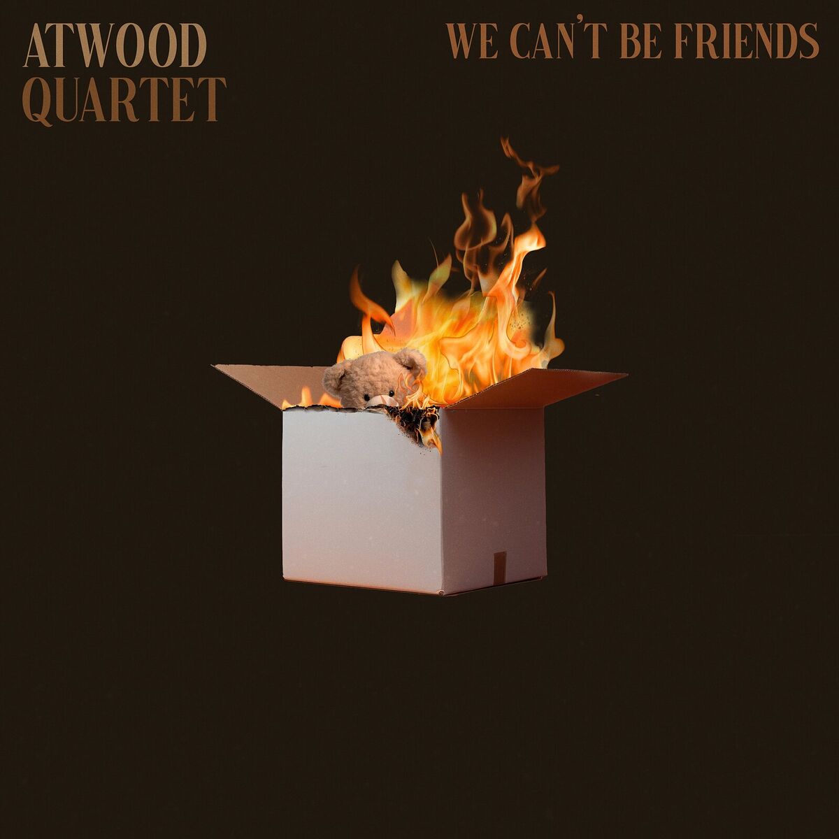Album cover of We Can't Be Friends