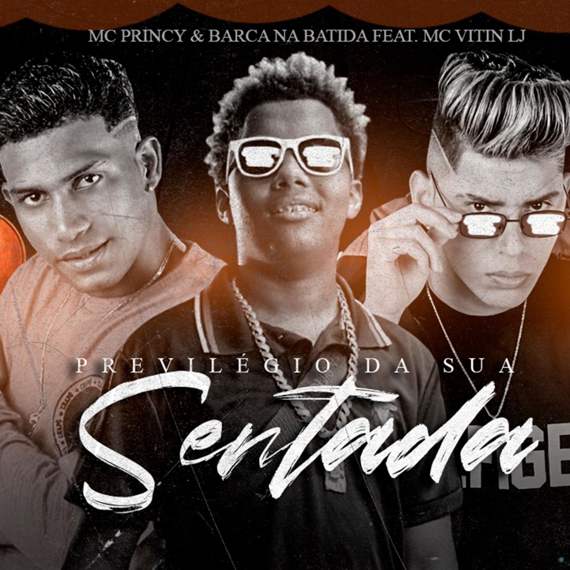 Album cover of Privilúgio da Sua Sentada (feat. Mc Vitin do LJ)