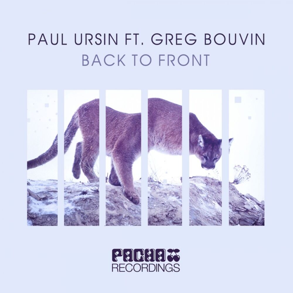 Picture of Back to Front