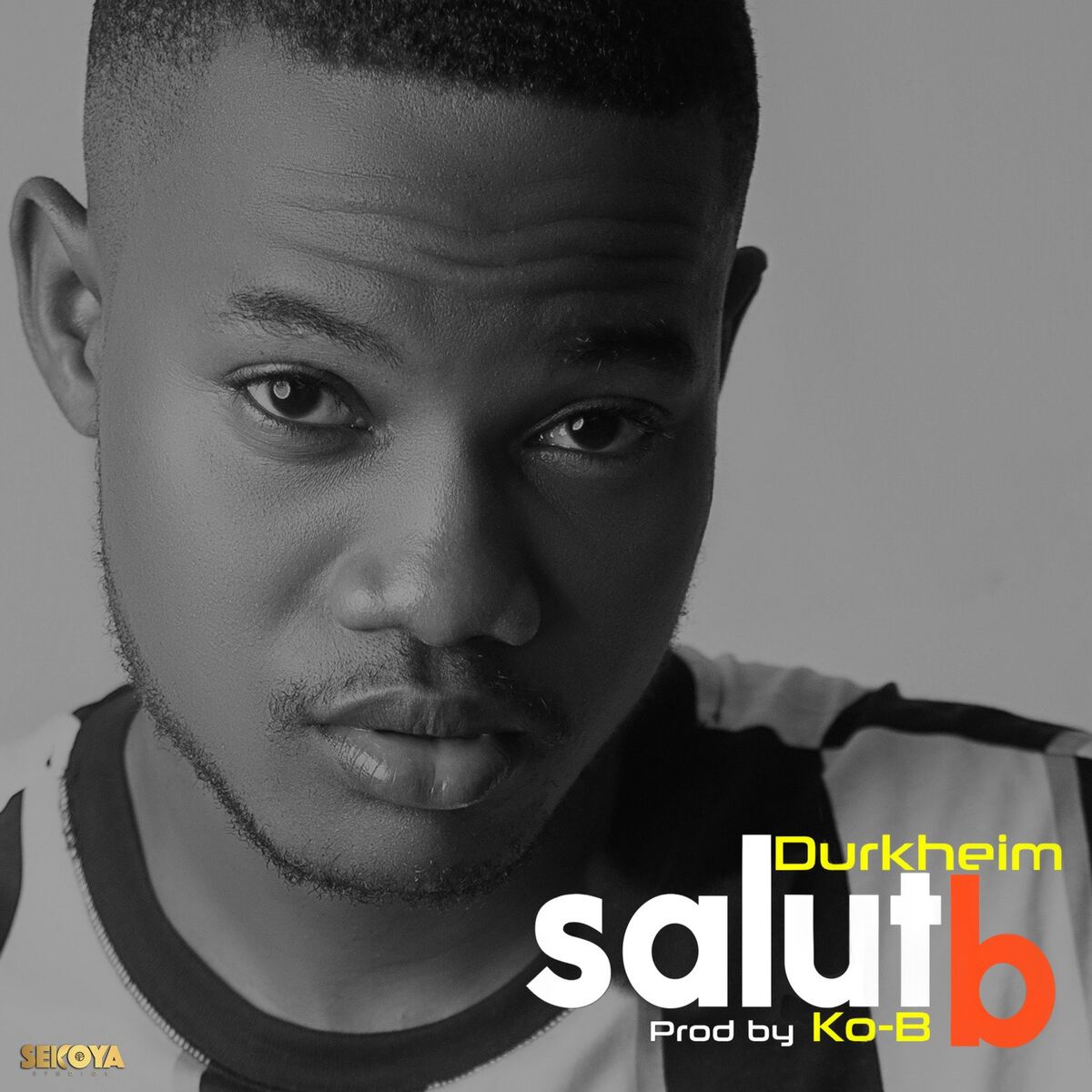 Album cover of Salut B