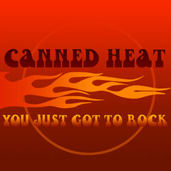 Cover of You Just Got To Rock