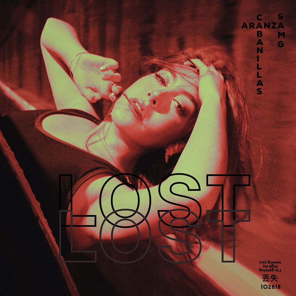 Picture of Lost