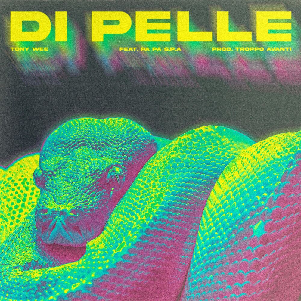 Picture of Di Pelle (feat. Pa Pa & TroppoAvanti)