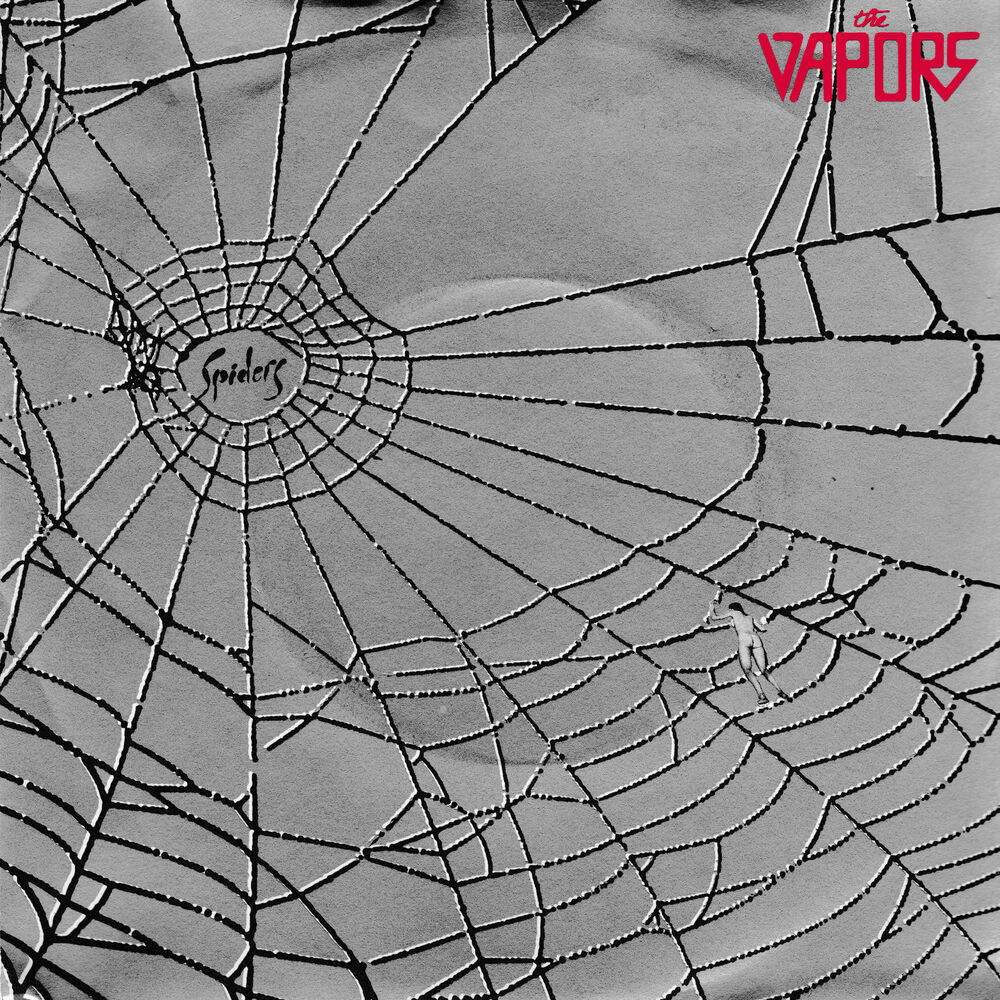 Picture of Spiders