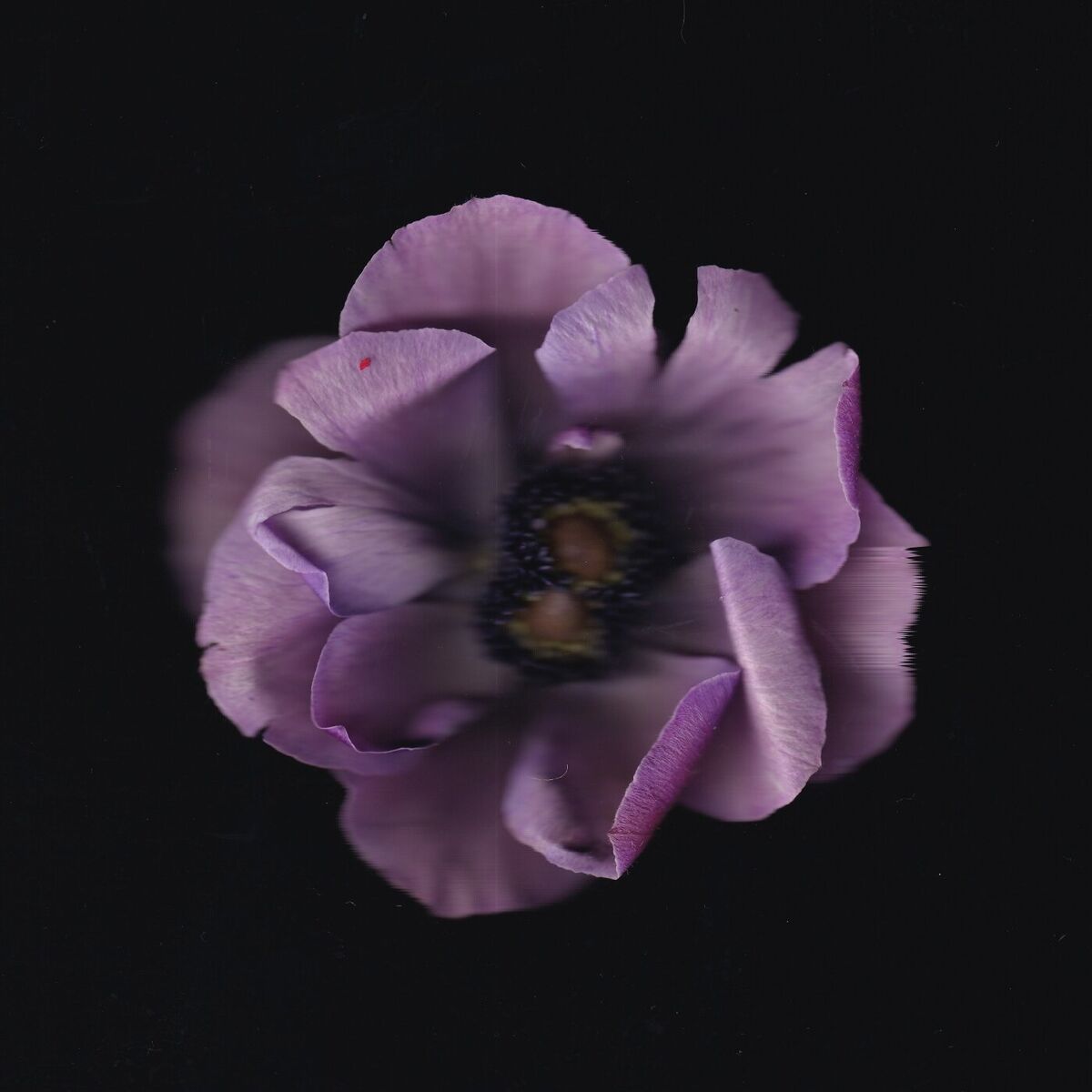 Album cover of Love U