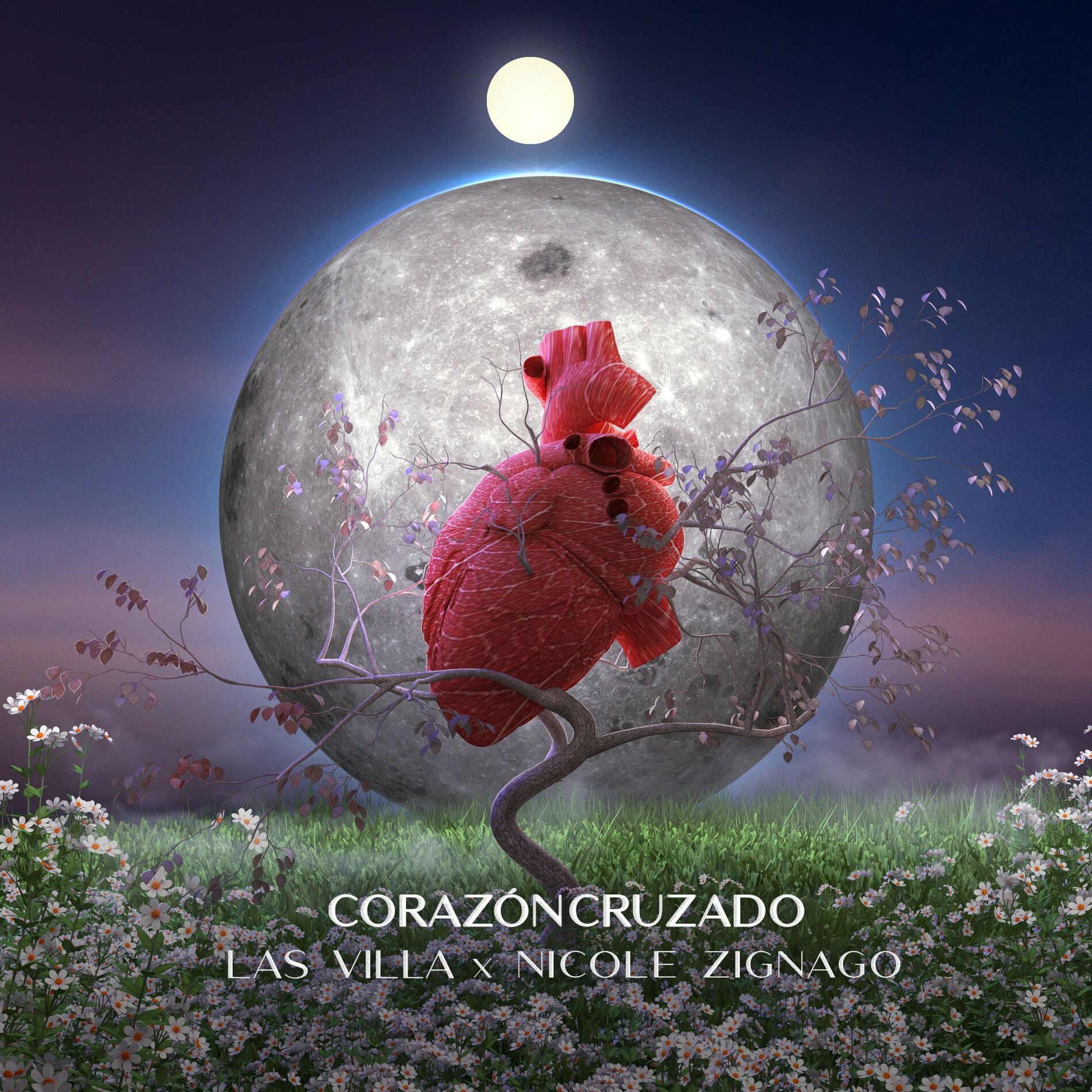 Album cover of Corazón Cruzado