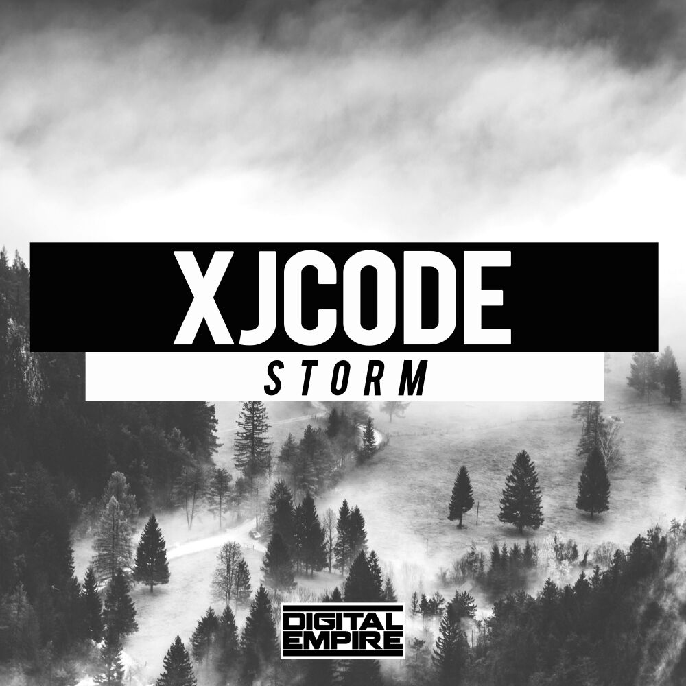 Picture of Storm