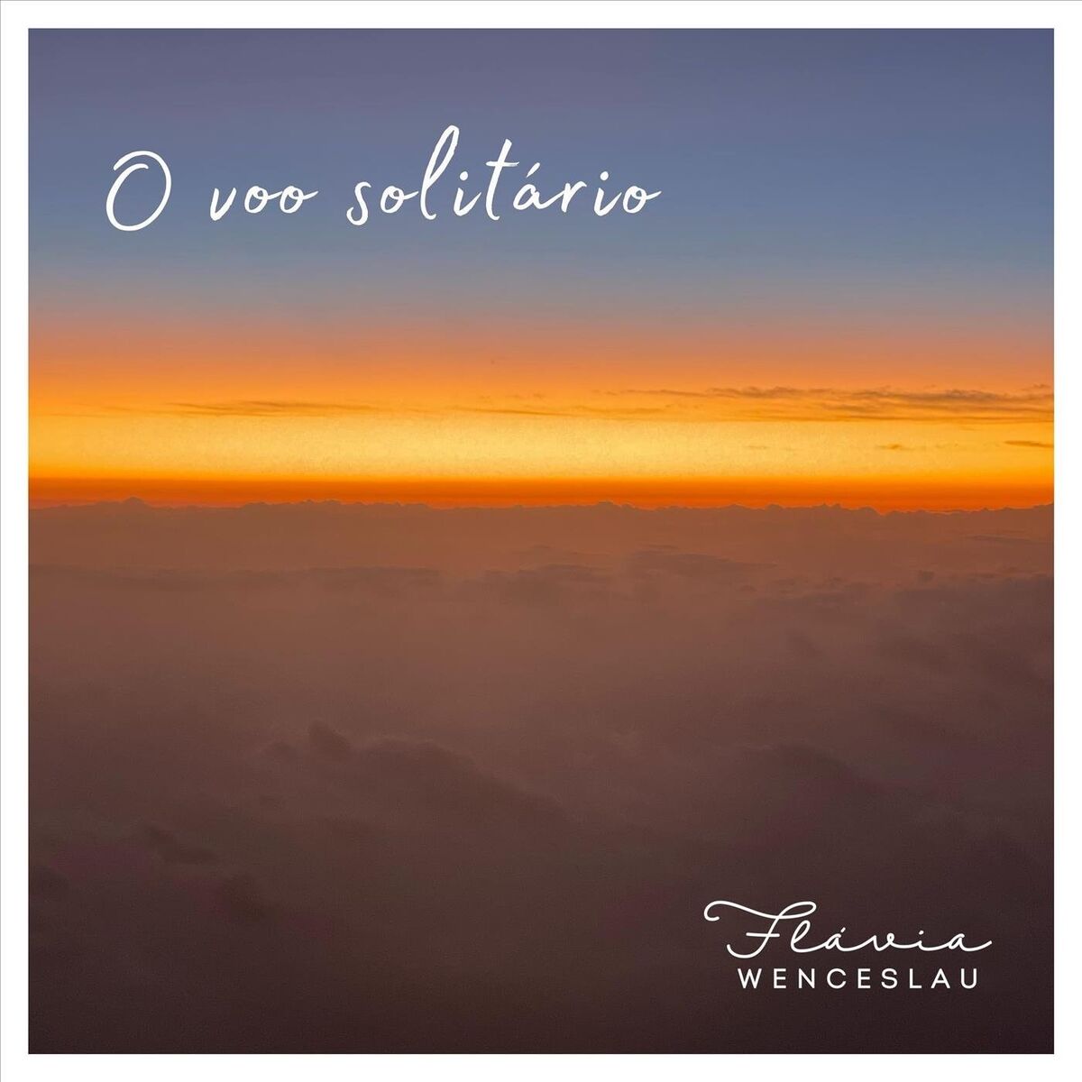 Album cover of O Voo Solitário