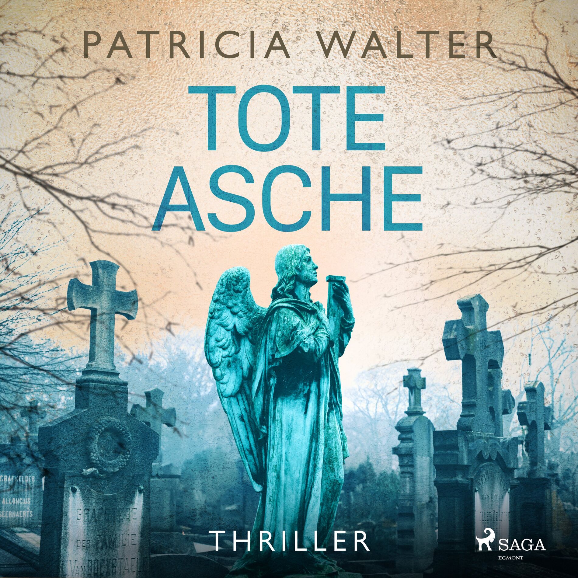Album cover of Tote Asche