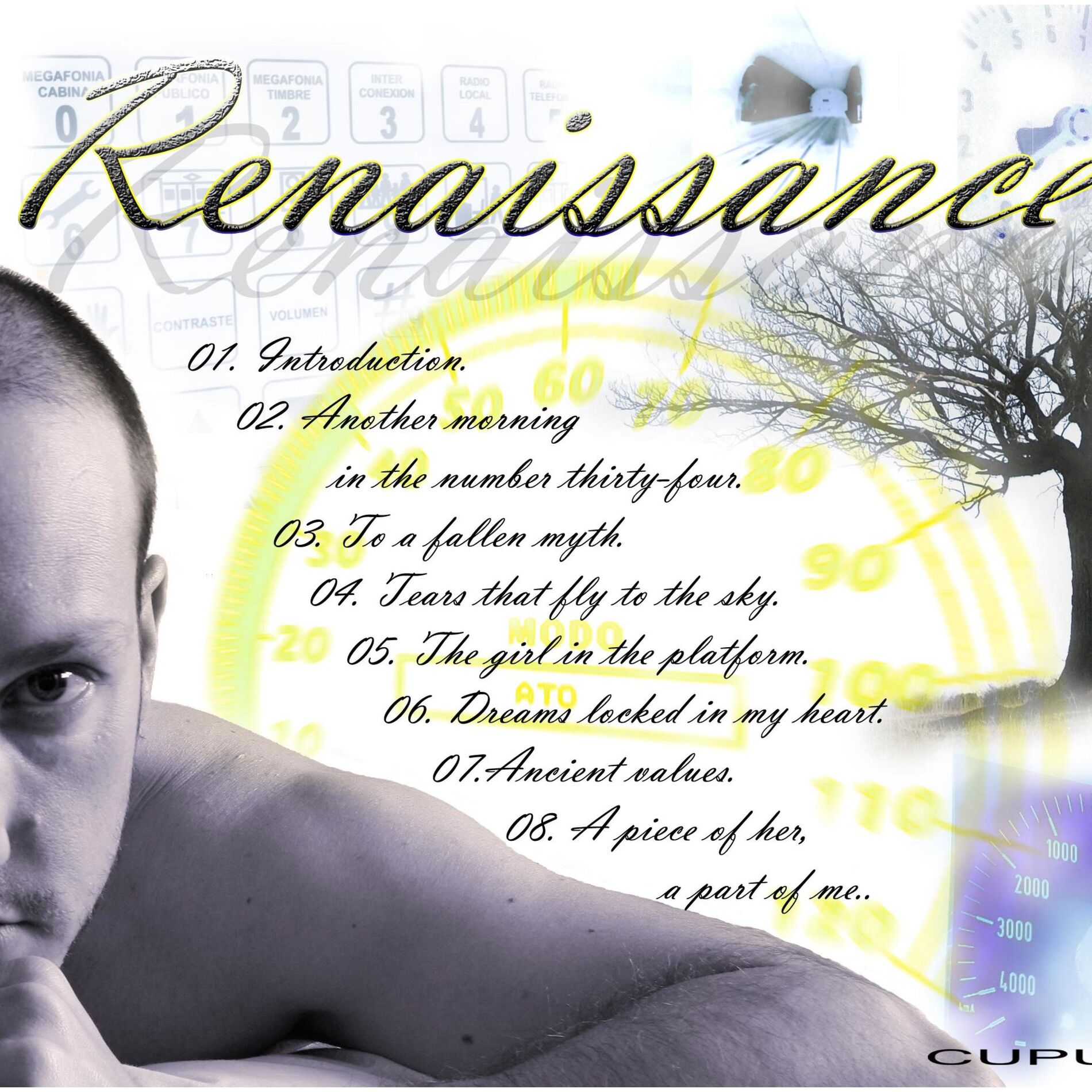 Album cover of Renaissance
