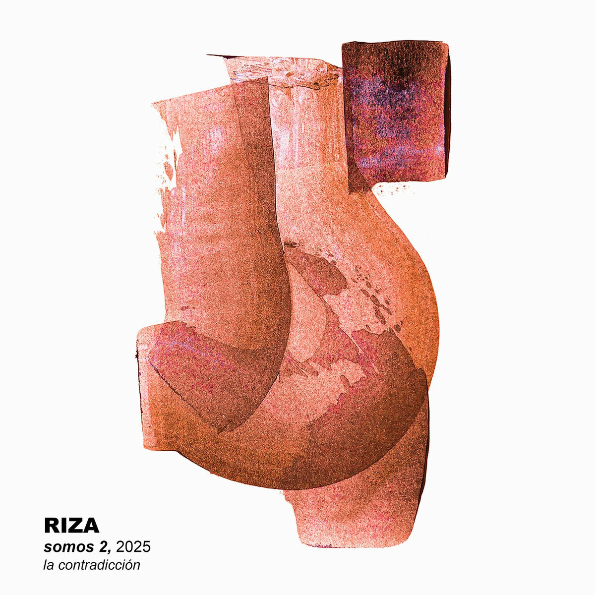 Album cover of somos 2