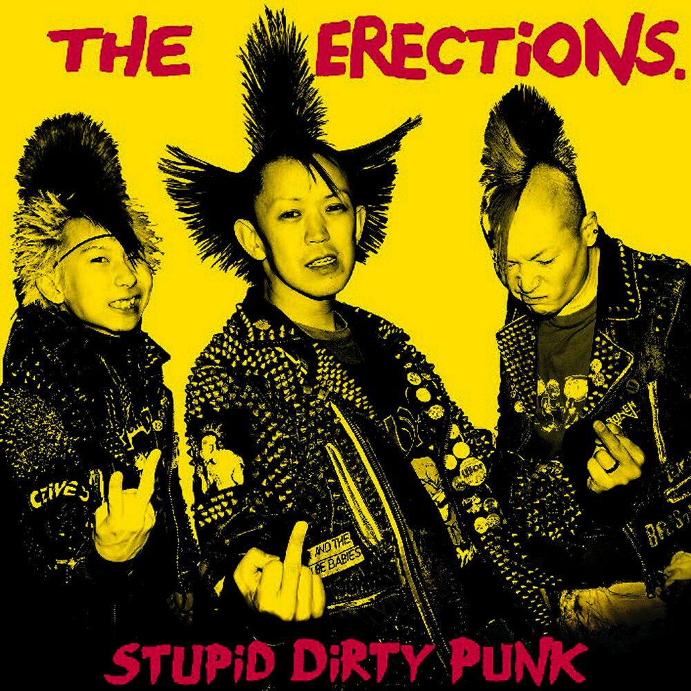 Picture of Stupid Dirty Punk