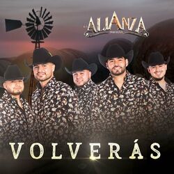 Cover of Volverás