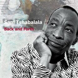 Cover of Back and Forth