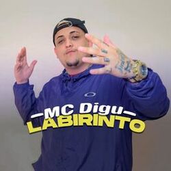 Cover of Labirinto
