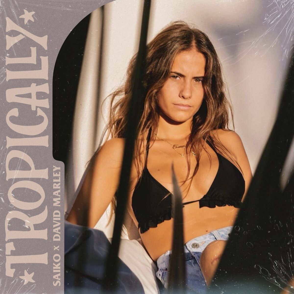 Album cover of Tropically (feat. David Marley)