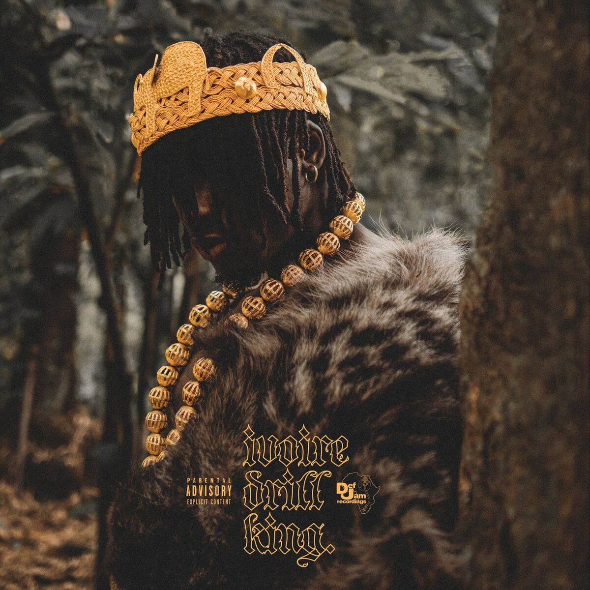 Album cover of Ivoire Drill King
