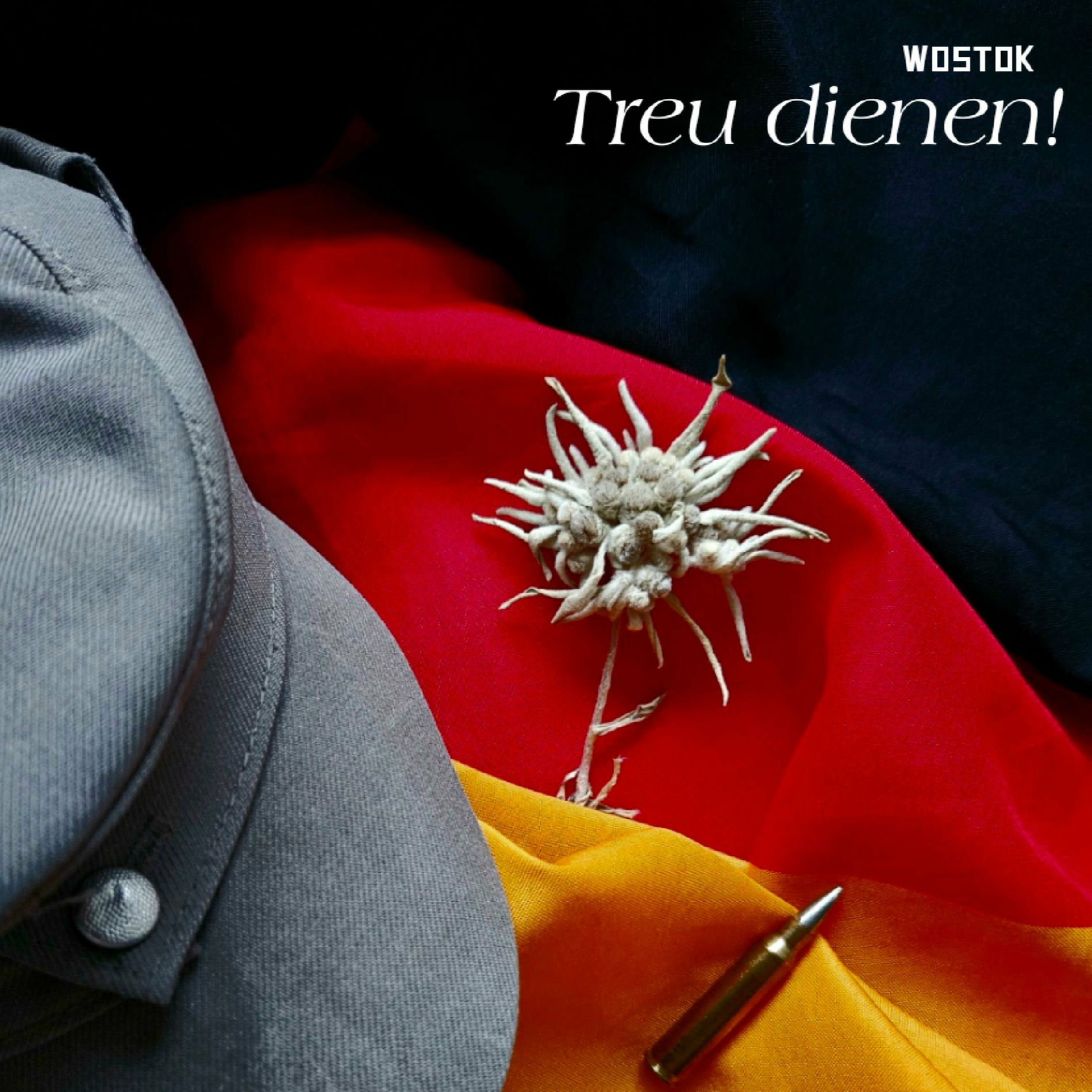 Album cover of Wiedereinsteller