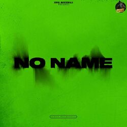 Cover of No Name