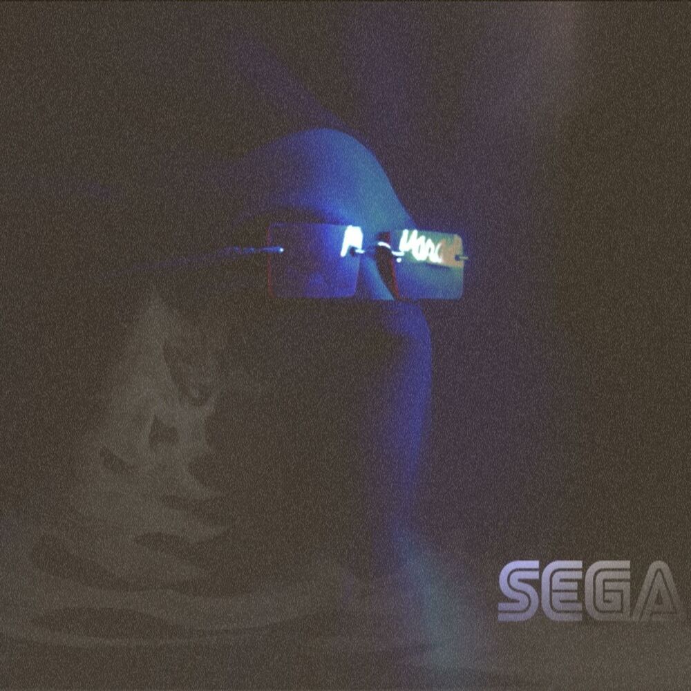 Picture of SEGA