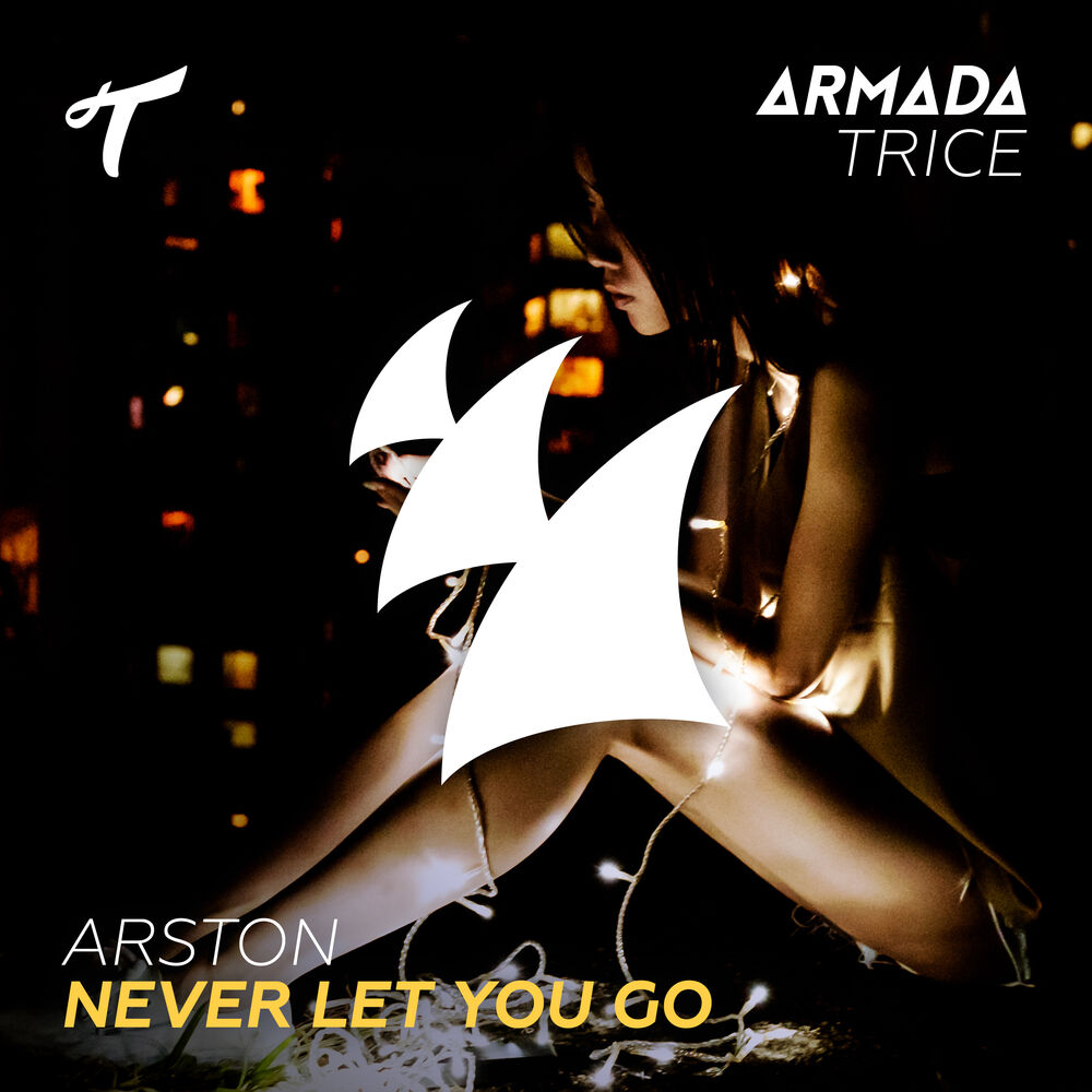 Picture of Never Let You Go