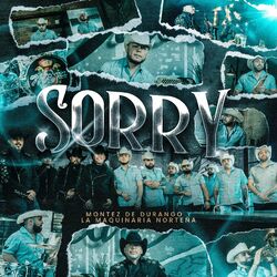 Cover of SORRY