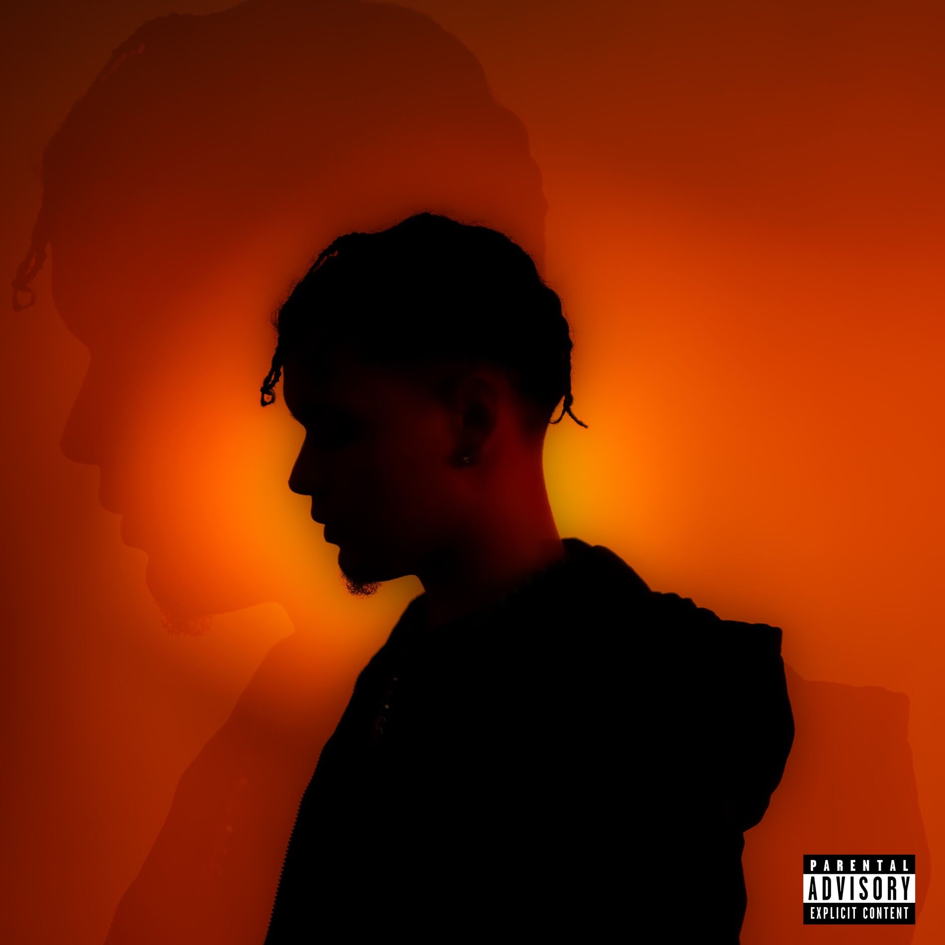 Album cover of Camaleão