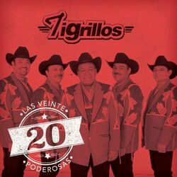 Cover of Las 20 Poderosas (USA)