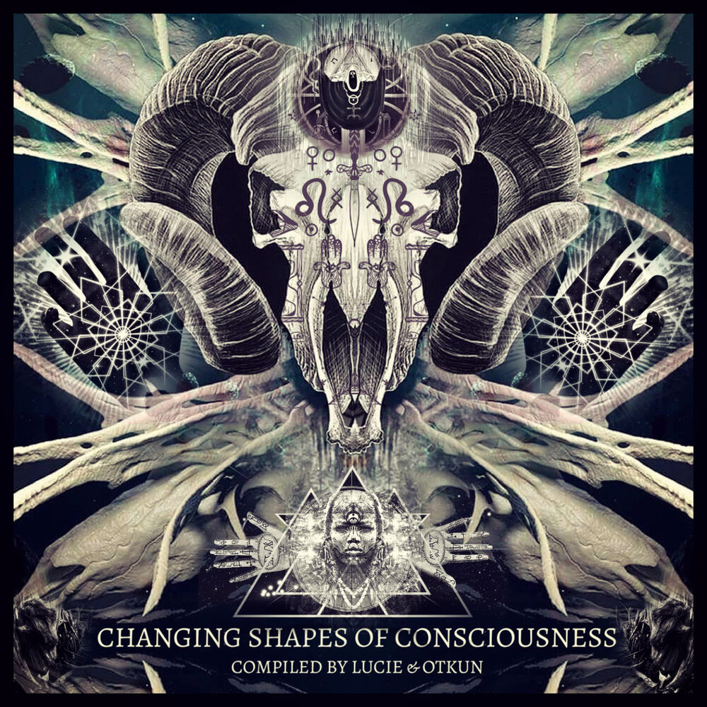 Picture of CHANGING SHAPES OF CONSCIOUSNESS