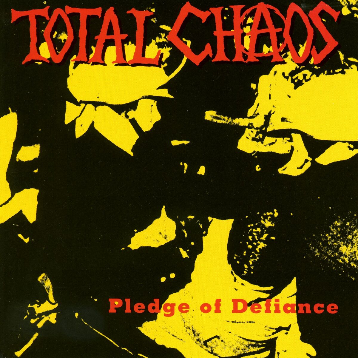 Album cover of Pledge Of Defiance