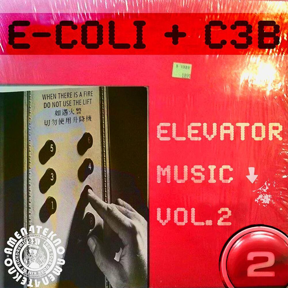 Picture of Elevator Music, Vol. 2