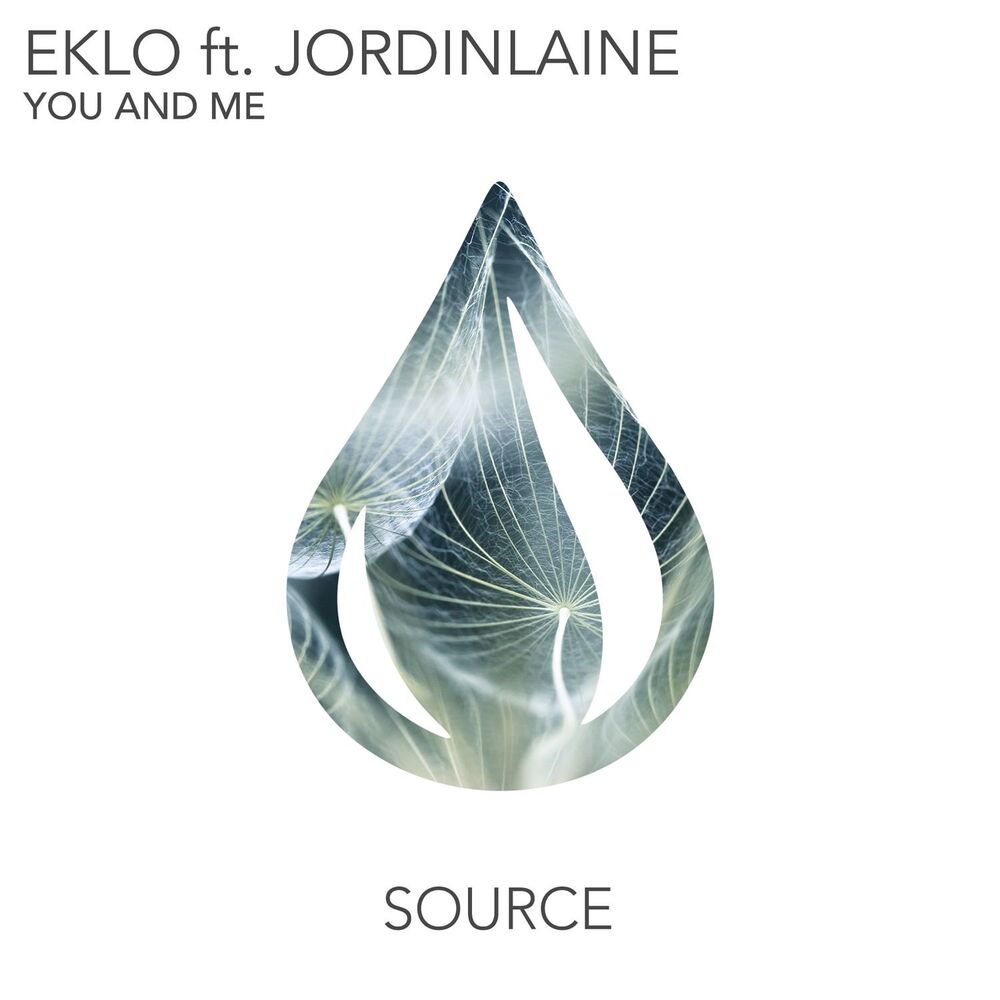 Picture of You and Me (feat. JordinLaine)