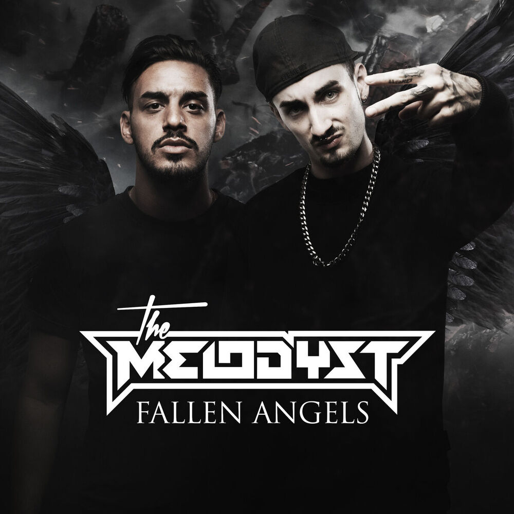 Picture of Fallen angels
