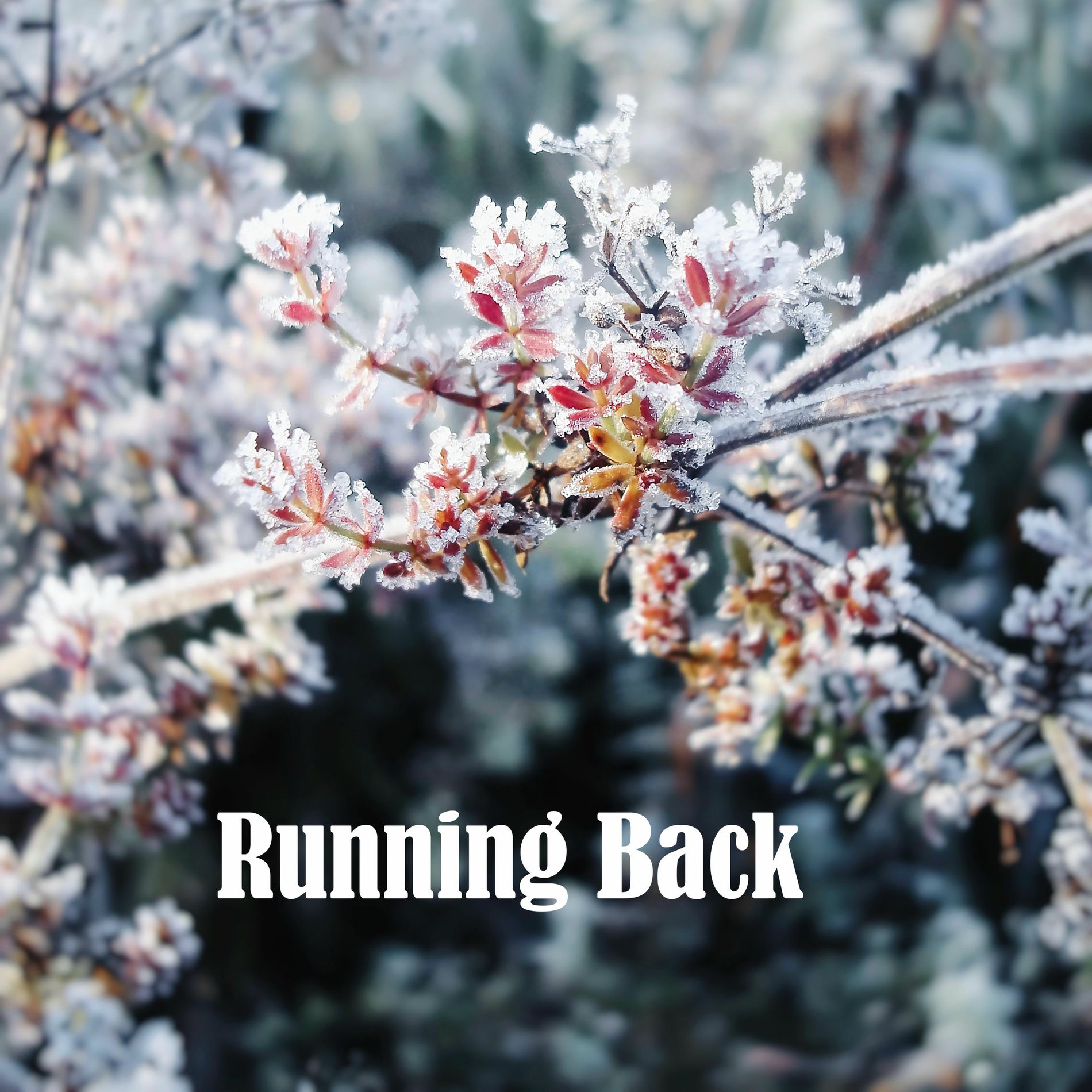 Album cover of Running Back
