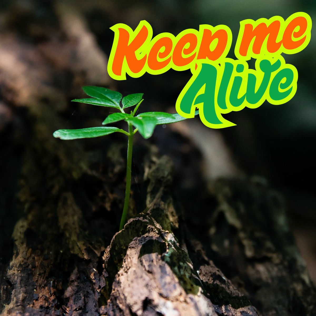 Album cover of Keep Me Alive