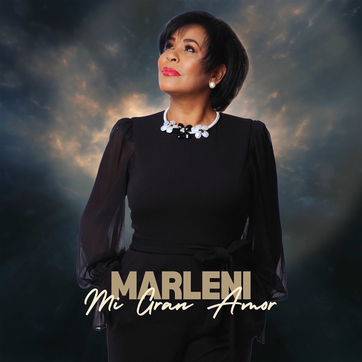 Album cover of Mi gran amor