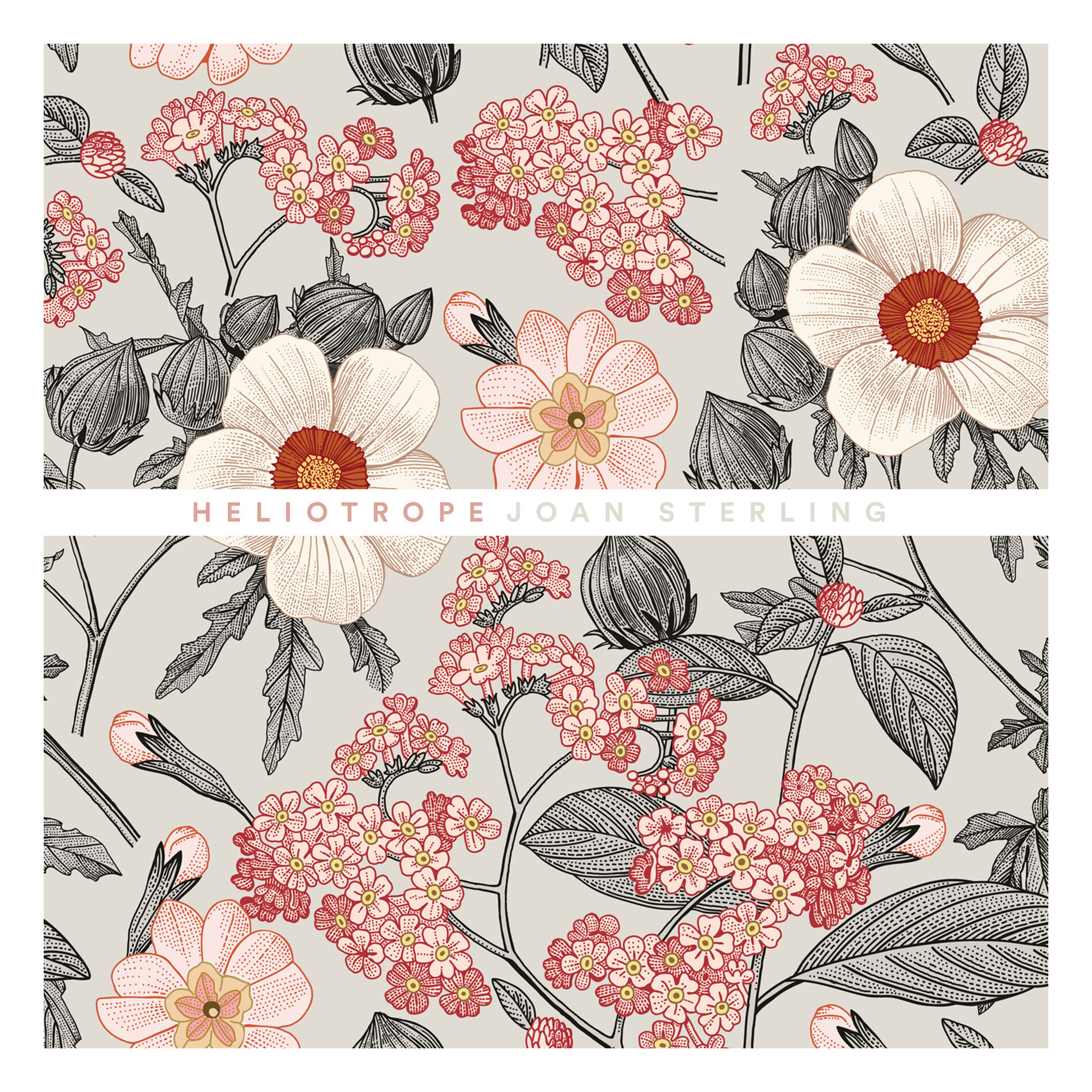 Album cover of Heliotrope